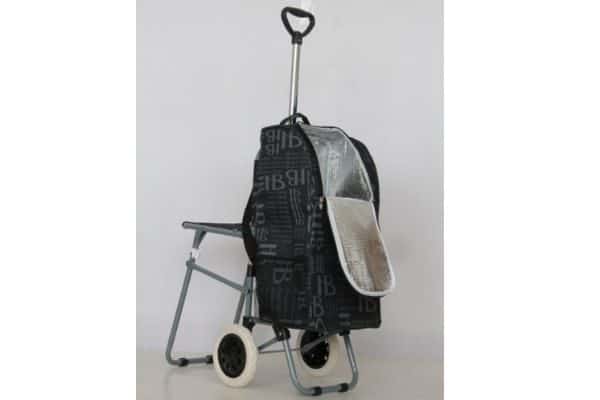 Cooler bag with seat - COOLBAG1